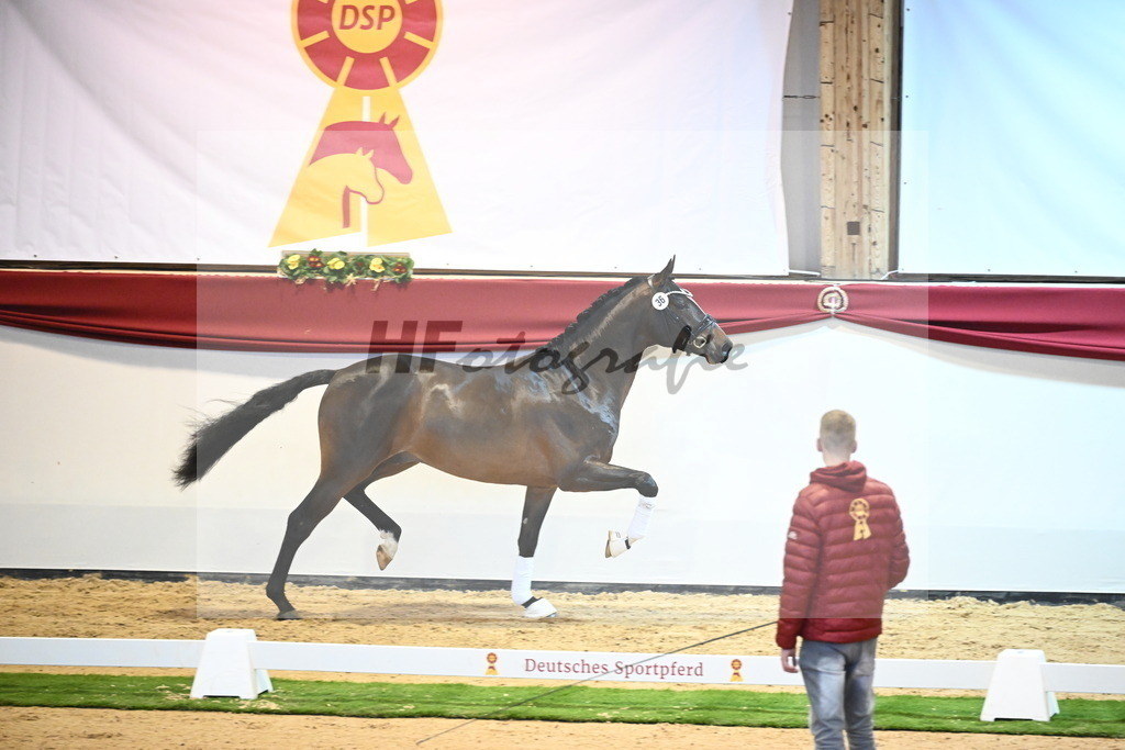 Kat.-Nr. 36 v. Bon Vivaldi_Kornes_2240376 | hf-fotografie - Realisiert mit Pictrs.com