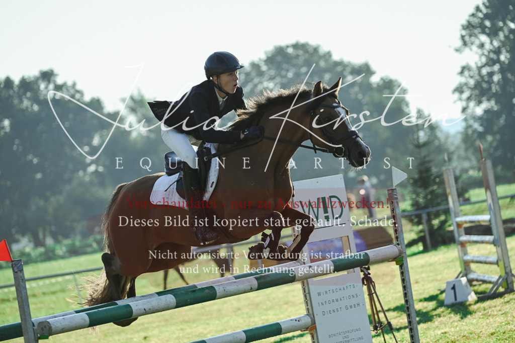 DSC_4128 | Pferde- und Turnierfotografie in Westsachsen. Pferdeportraits, Auftragszeichnungen und intuitive Kunst.