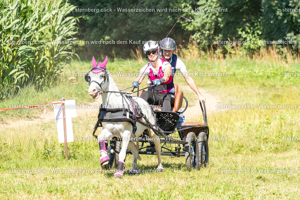 2026-08-08_14-23-13_WBO_Pulsnitz | sternberg.click - Realisiert mit Pictrs.com