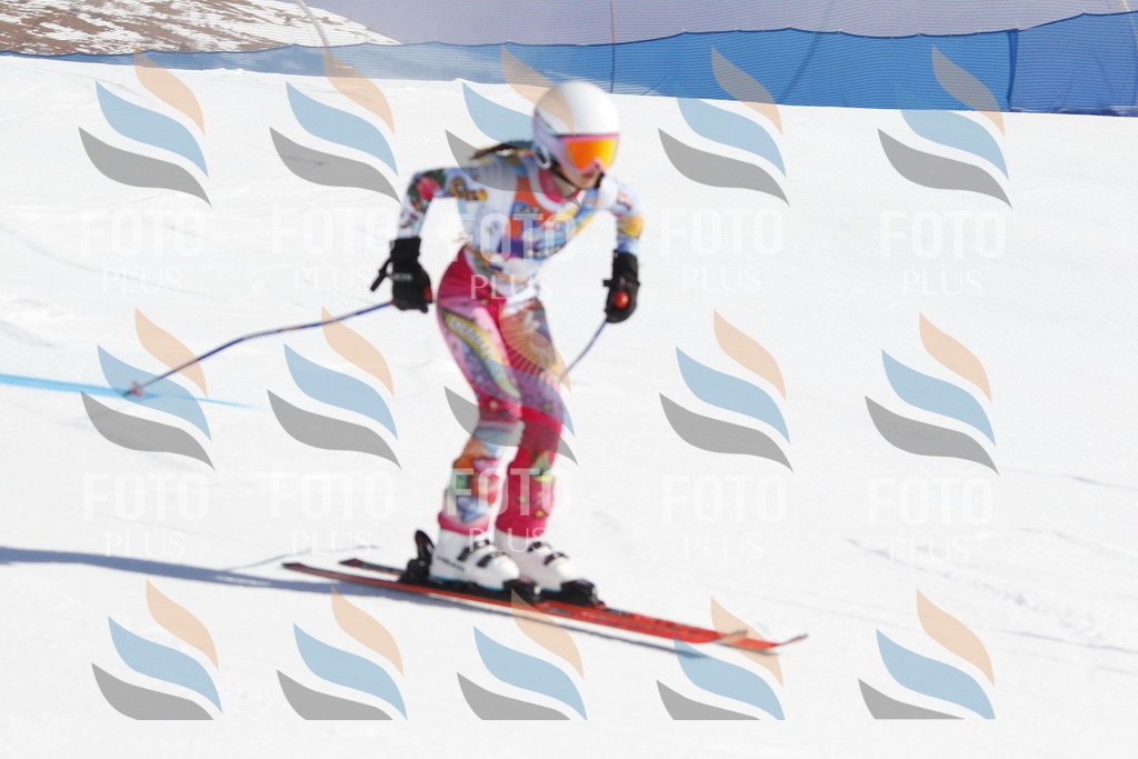 _U3G8513 | holidayphoto