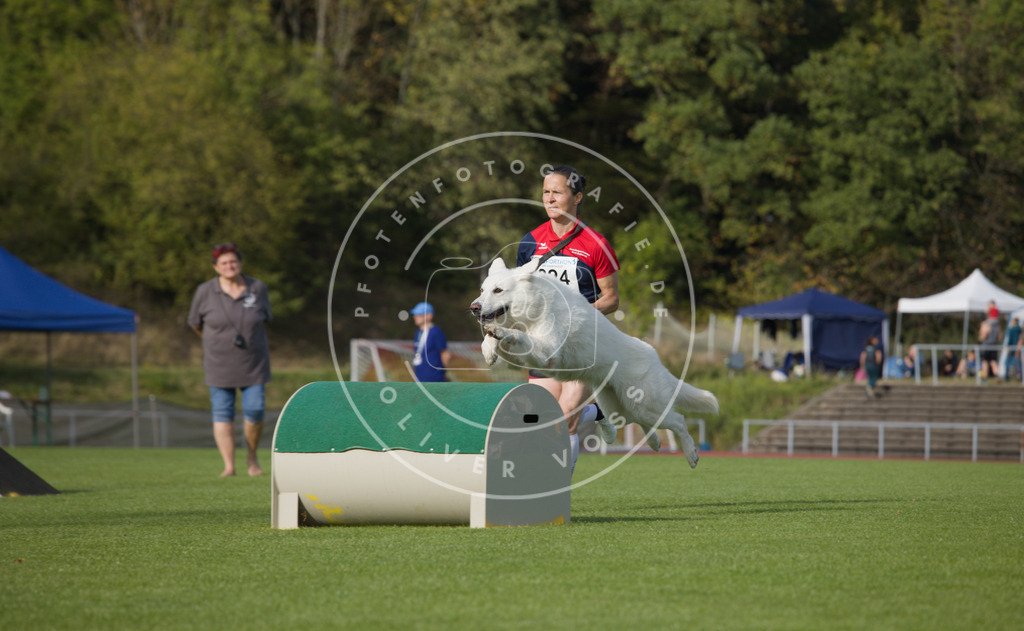 0L8A3993 | Hundefotografie, Tierfotograf, Pfotenfotografie, Fotoshooting Hund, Hunde Portrait, Hundesport, Hundeportraits, Heideshooting, Hunde, Sportfotograf, Hundefotograf, Turnierhundsport, THS,  - Realisiert mit Pictrs.com