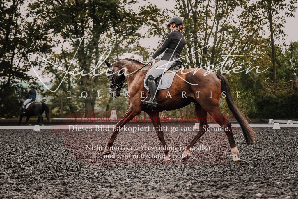 DSC_3719 | Pferde- und Turnierfotografie in Westsachsen. Pferdeportraits, Auftragszeichnungen und intuitive Kunst.