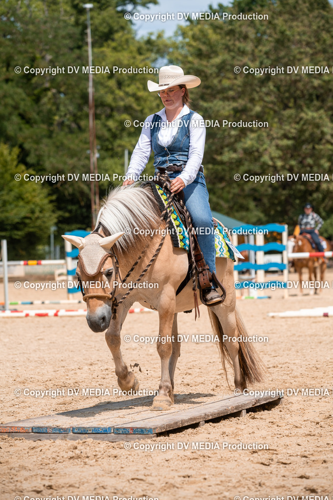 ZS2_8223 | dv-media-shop - Realisiert mit Pictrs.com