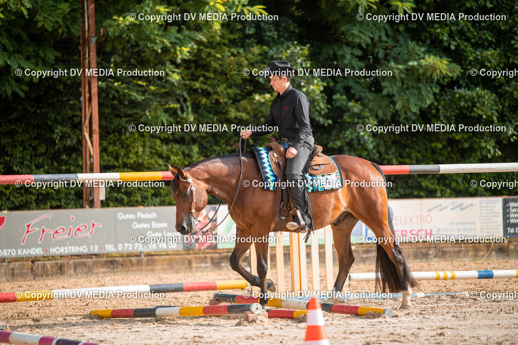 ZS3_9113 | dv-media-shop - Realisiert mit Pictrs.com