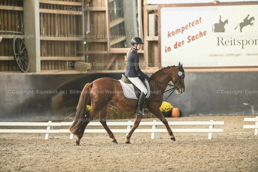 03_Reiter-WB_0073 | Foto: Thomas Hartig
