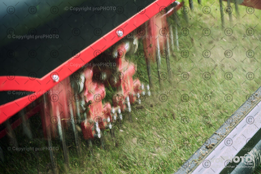 202507_Rernböck-Rasen_NZ9_1047 | proPHOTO - Realisiert mit Pictrs.com