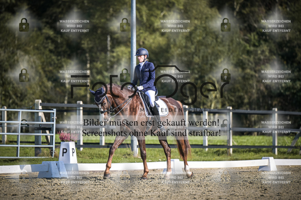 DOS_4974 | Entdecke hochwertige Reitturnierfotos von Foto Oger. Professionell, emotional und authentisch – jetzt Lieblingsmomente im Shop bestellen.Deutschlandweite Turnierfotografie. - Realisiert mit Pictrs.com