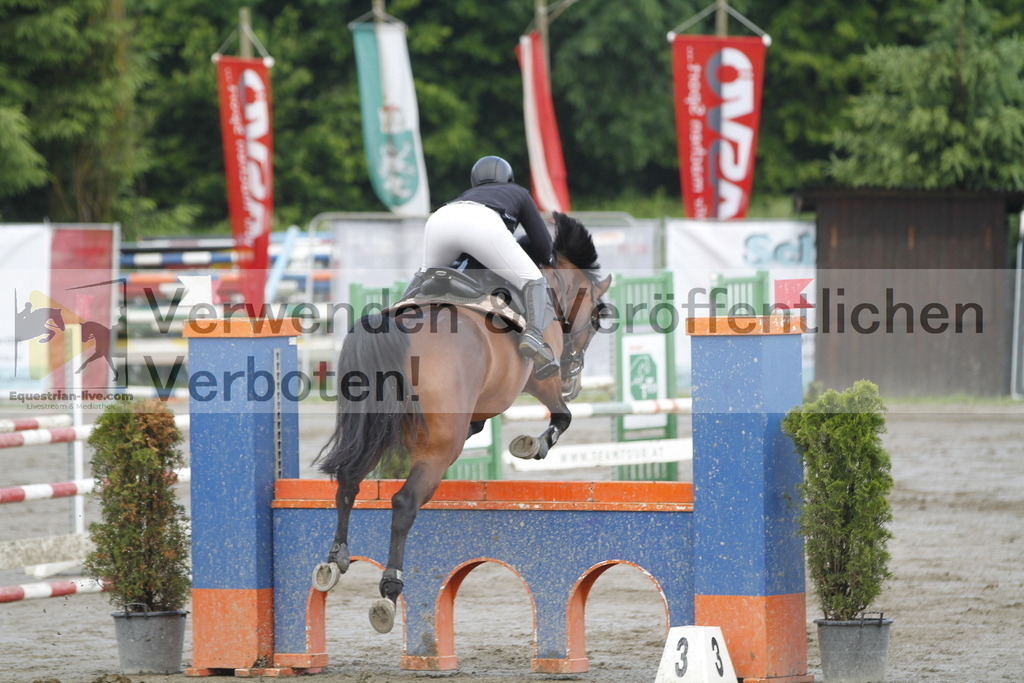 _MG_7439 | equestrian-live-com