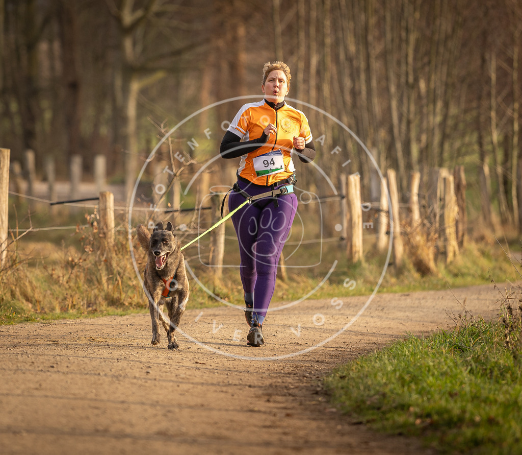 Pfotenfotografie_DV3A4882 | Hundefotografie, Tierfotograf, Pfotenfotografie, Fotoshooting Hund, Hunde Portrait, Hundesport, Hundeportraits, Heideshooting, Hunde, Sportfotograf, Hundefotograf, Turnierhundsport, THS,  - Realisiert mit Pictrs.com