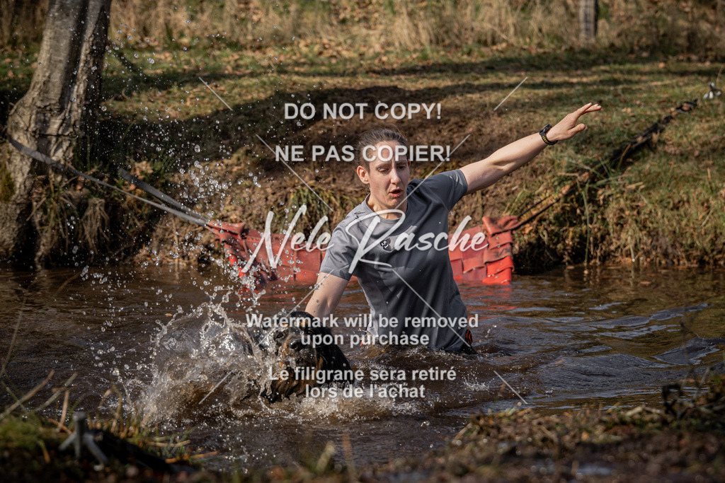 nelerasche_FS1330-1400_129 | nelerasche
