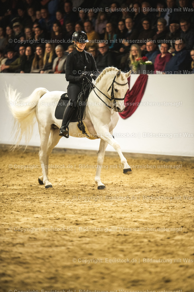 20240302_Hengstvorstellung_Marbach_TOMsPiC_1121-2 | equistock
