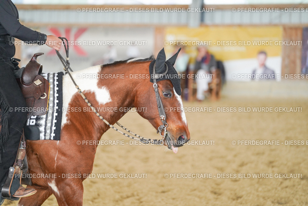 DSC04350 | Pferdegrafie