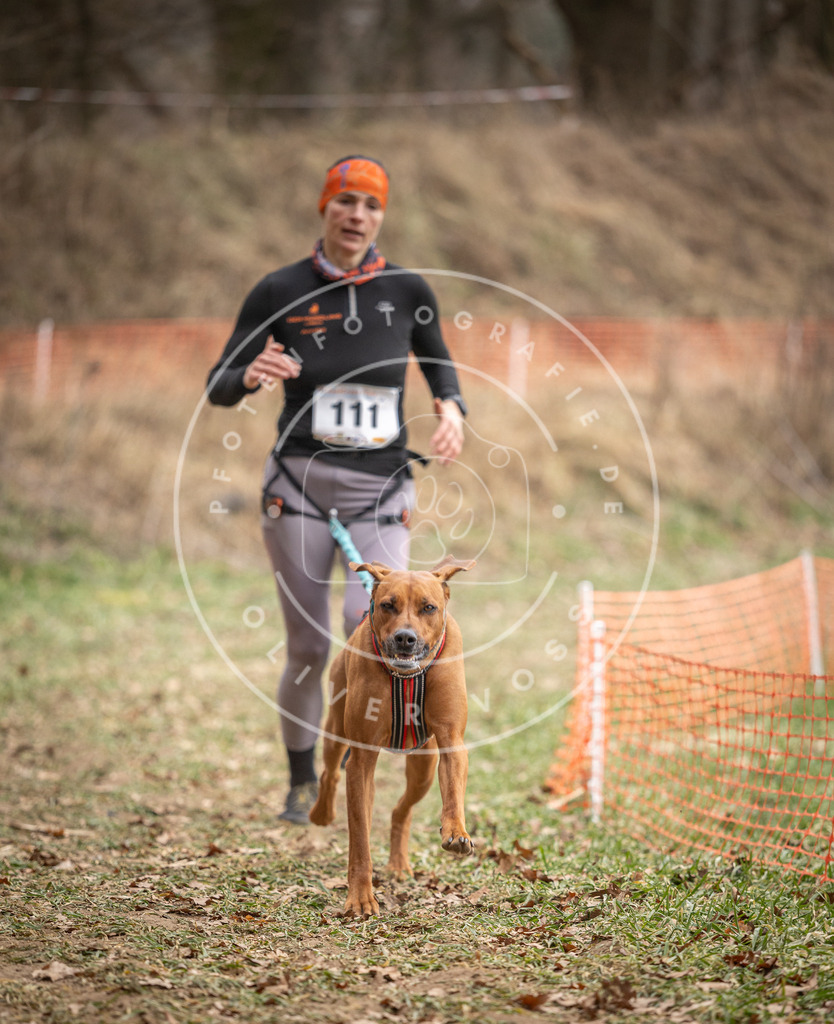 Pfotenfotografie_DV3A7532 | Hundefotografie, Tierfotograf, Pfotenfotografie, Fotoshooting Hund, Hunde Portrait, Hundesport, Hundeportraits, Heideshooting, Hunde, Sportfotograf, Hundefotograf, Turnierhundsport, THS,  - Realisiert mit Pictrs.com