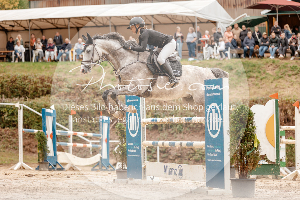 3I6A8643 | Stimmungsvolle Portraits und Reitsportfotografie im Ruhrgebiet und im Münsterland.

Pferdefotografie, Hundefotografie, Tierfotografie, Reportagen, Portraits von Tier und Mensch, Turnierfotografie in Bochum, Recklinghausen, Marl, Haltern am See, Dülmen.. - Realisiert mit Pictrs.com