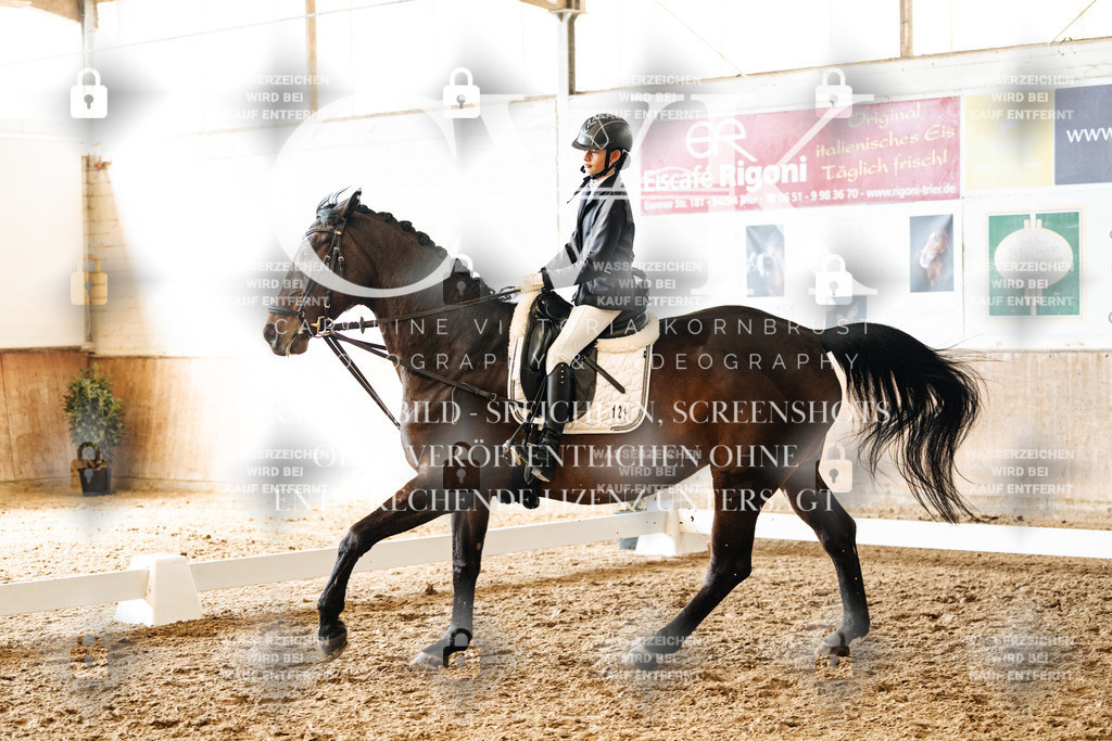 CK900493 | Turnierfotografie Pferdefotografie Trier Rheinland-Pfalz Pferdesport Reitsport Tierfotografie Sportfotografie Pferdevideo Pferdevideografie Equestrianvideography equestrianphotography  - Realisiert mit Pictrs.com