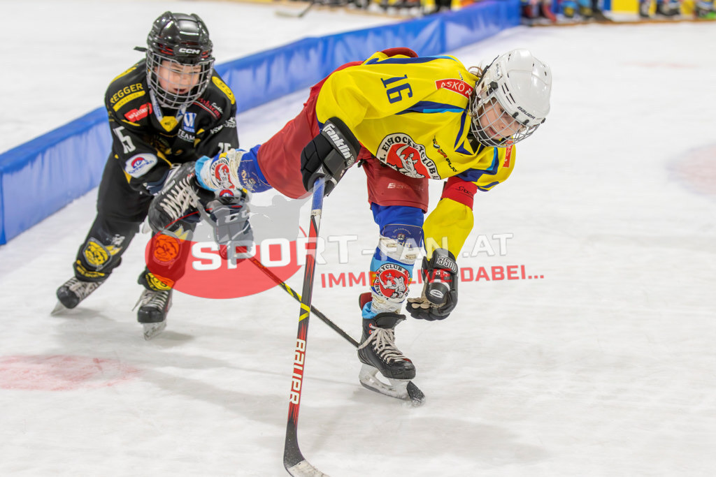 Eishockey | Eishockey, KEHV U10 Abschlussturnier am 17.03.2024 in Ferlach (HTC Eissporthalle), Austria, (Photo by Ernst Krawagner sport-fan.at) - Realisiert mit Pictrs.com