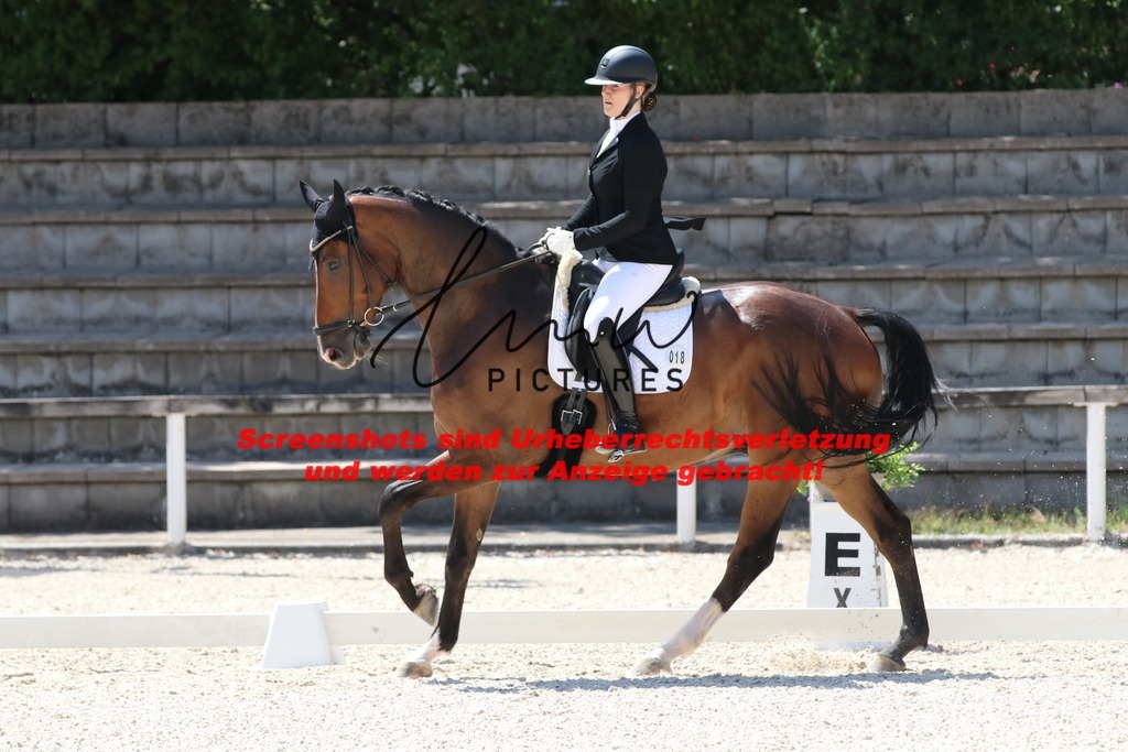 IMG_4896 | lmwpictures - Realisiert mit Pictrs.com