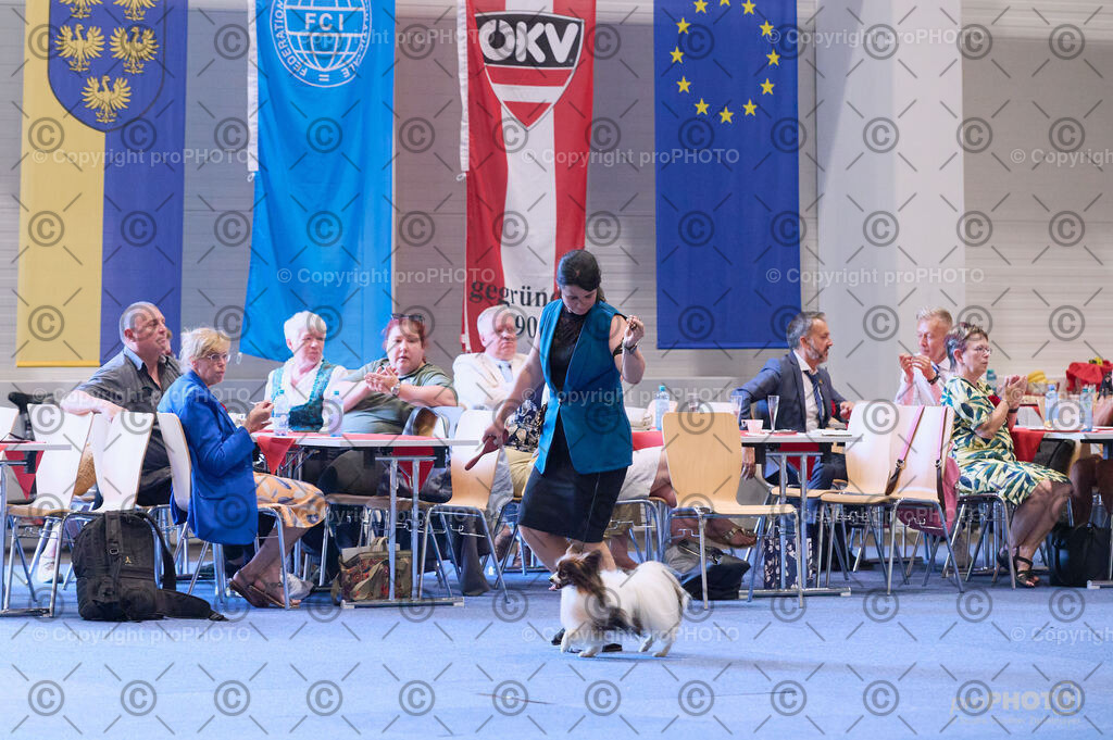 202406_ÖKV-IHA-Tulln24_DSC_3665 | proPHOTO - Realisiert mit Pictrs.com