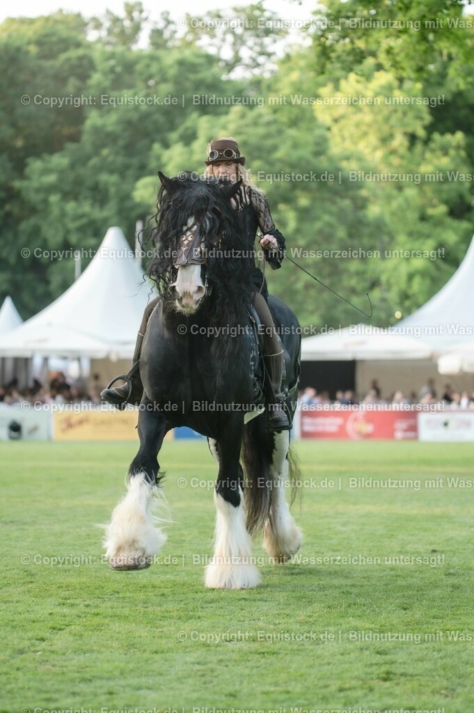 20230526_Pferdenacht_0309 | equistock