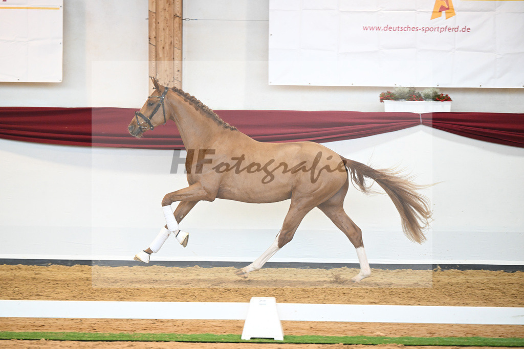Kat-Nr. 56 v. Vivaldos_Fischer_66220865 | hf-fotografie - Realisiert mit Pictrs.com