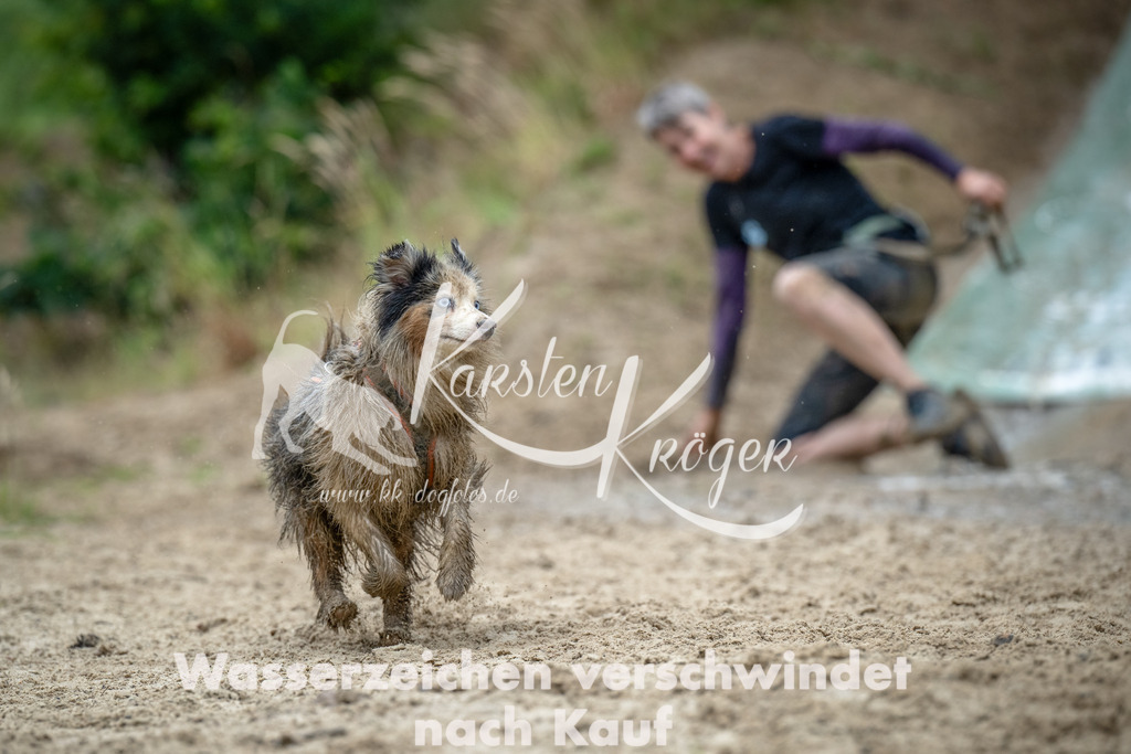 1257_ZZ91531-Bearbeitet | kk-dogfotos