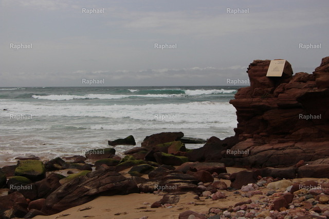 IMG_5887 | Raphael - Realisiert mit Pictrs.com