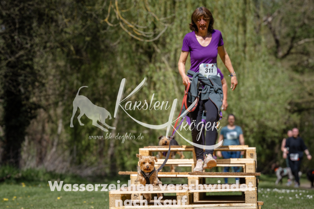 1245_ZZ94001 | kk-dogfotos