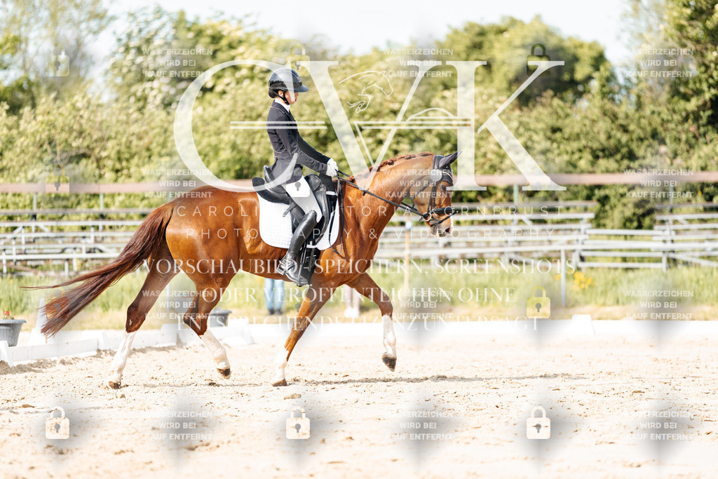 CK900285 | Turnierfotografie Pferdefotografie Trier Rheinland-Pfalz Pferdesport Reitsport Tierfotografie Sportfotografie Pferdevideo Pferdevideografie Equestrianvideography equestrianphotography  - Realisiert mit Pictrs.com