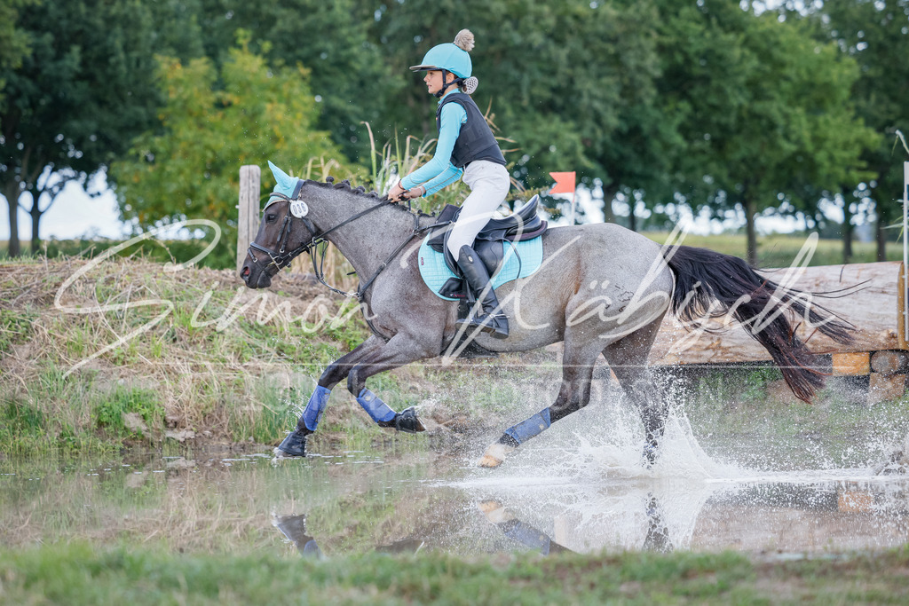 20250905-_3LI2004 | Tierfotografie Pferde, Hunde, Katzen, Haustiere.
Turnierfotografie Reitturniere, Reiten, Springreiten, Dressur in Hanau, dem Main-Kinzig-Kreis und dem Rhein-Main- Gebiet um Frankfurt