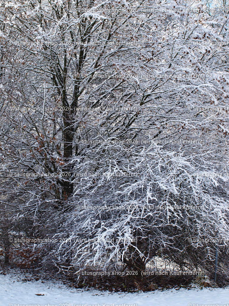 2025-11-21-titusgraphy-vz_PB207615_ln_18 | titusgraphy-shop: Geschenkideen mit Qualitätsfotos. titusgraphy-shop: gift ideas with quality photos. titusgraphy-shop: idées cadeaux avec photos de qualité.  - Realisiert mit Pictrs.com