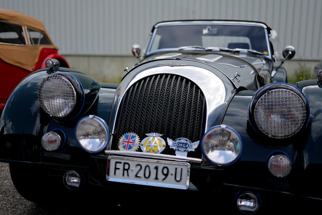 Calag_Oldtimer2025-51 | Ich fotografiere Hundeausstellungen, Sportanlässe, Zuchtstätten, Hundezucht, Hundeportrait, Lagotto - Realisiert mit Pictrs.com