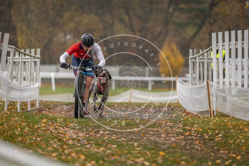 CaniXpix_DV3A7480 | Hundefotografie, Tierfotograf, Pfotenfotografie, Fotoshooting Hund, Hunde Portrait, Hundesport, Hundeportraits, Heideshooting, Hunde, Sportfotograf, Hundefotograf, Turnierhundsport, THS,  - Realisiert mit Pictrs.com