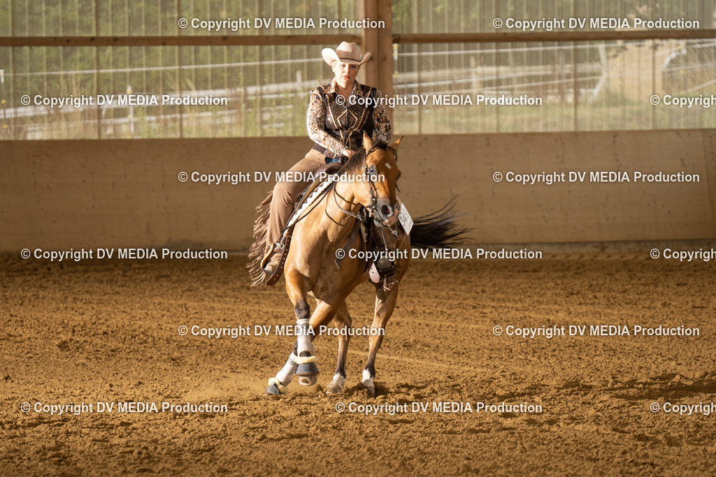 LAU01502 | dv-media-shop - Realisiert mit Pictrs.com