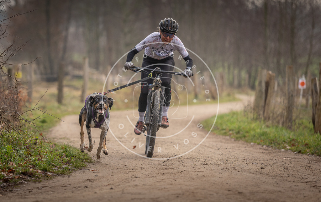 Pfotenfotografie_DV3A1612 | Hundefotografie, Tierfotograf, Pfotenfotografie, Fotoshooting Hund, Hunde Portrait, Hundesport, Hundeportraits, Heideshooting, Hunde, Sportfotograf, Hundefotograf, Turnierhundsport, THS,  - Realisiert mit Pictrs.com