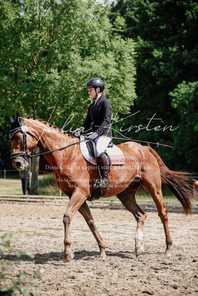 DSC_1363 | Pferde- und Turnierfotografie in Westsachsen. Pferdeportraits, Auftragszeichnungen und intuitive Kunst.