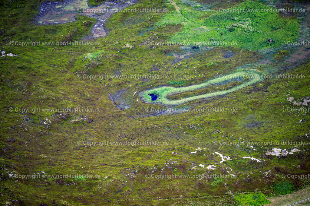 Sylt_Hörnum_Heidelandschaft_ELS_9270210625 | HöRNUM (SYLT) 21.06.2025 Heide- Landschaft an der Straße Osterende in Hörnum (Sylt) Insel Sylt im Bundesland Schleswig-Holstein, Deutschland. // Heathland landscape on street Osterende in Hoernum (Sylt) island Sylt in the state Schleswig-Holstein, Germany. Foto: Martin Elsen