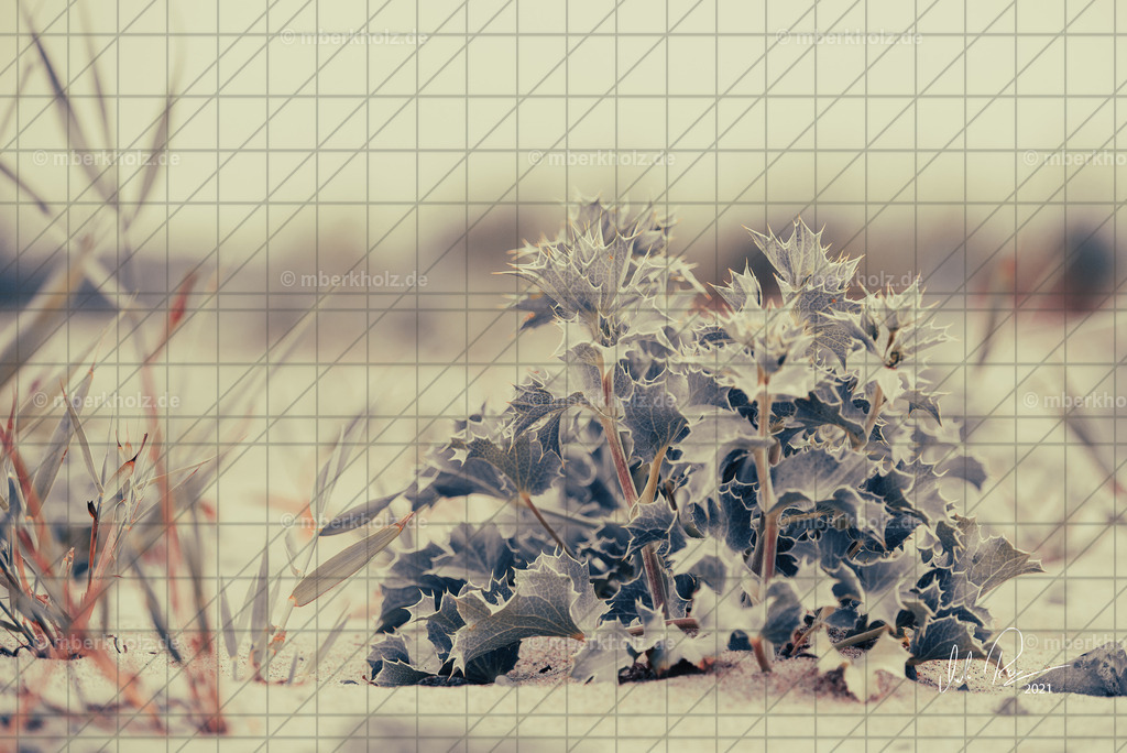 marko_berkholz_mberkholz_us_MBE4342be | Bildkunst Warnemünde, Fotokunst Warnemünde, Fotostudio Rostock Warnemünde, Technologiecampus, Onlinedruckerei, Fotokunst Warnemünde, Ostseebad Warnemünde 