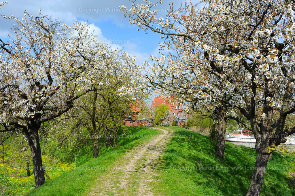 Lühe Deich Obstblüte_ELS_85678481a | Altes Land - Aufnahmedatum: 23.04.2010, Aufnahmehöhe:  m, Koordinaten:  - , Bildgröße: 4256 x  2832 Pixel - Copyright 2010 by Martin Elsen, Kontakt: Tel.: +49 157 74581206, E-Mail: info@schoenes-foto.deSchlagwörter: - Realisiert mit Pictrs.com
