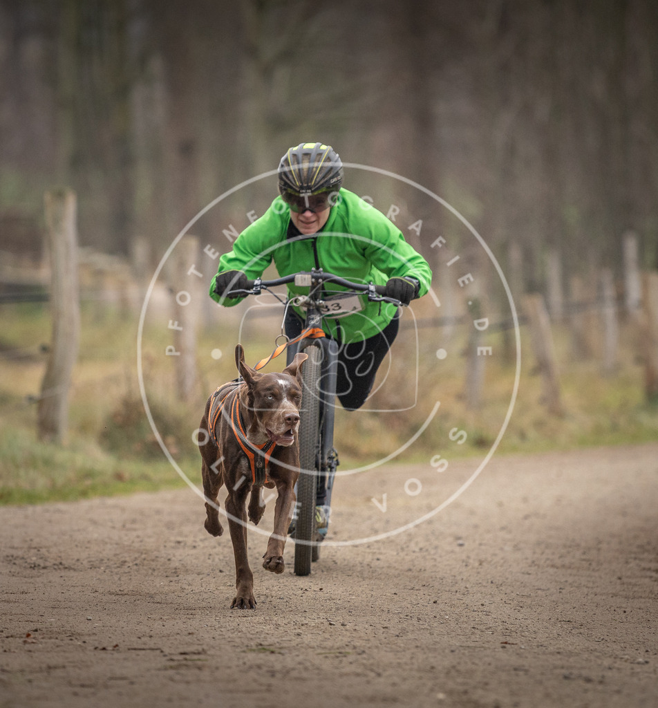 Pfotenfotografie_DV3A2337 | Hundefotografie, Tierfotograf, Pfotenfotografie, Fotoshooting Hund, Hunde Portrait, Hundesport, Hundeportraits, Heideshooting, Hunde, Sportfotograf, Hundefotograf, Turnierhundsport, THS,  - Realisiert mit Pictrs.com