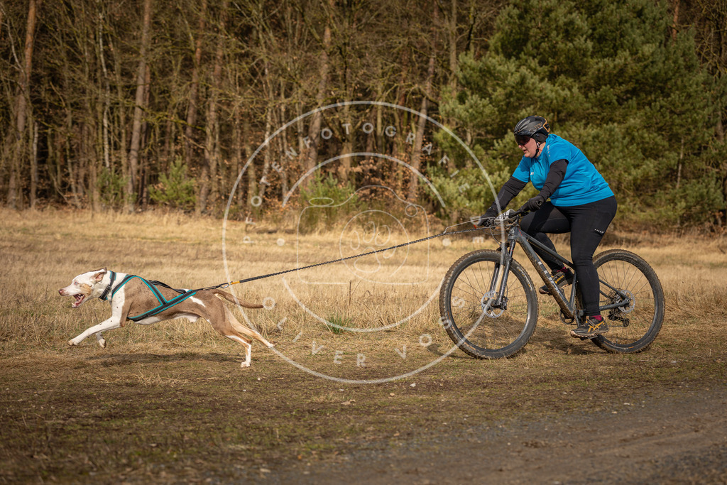 DV3A4296 | Hundefotografie, Tierfotograf, Pfotenfotografie, Fotoshooting Hund, Hunde Portrait, Hundesport, Hundeportraits, Heideshooting, Hunde, Sportfotograf, Hundefotograf, Turnierhundsport, THS,  - Realisiert mit Pictrs.com