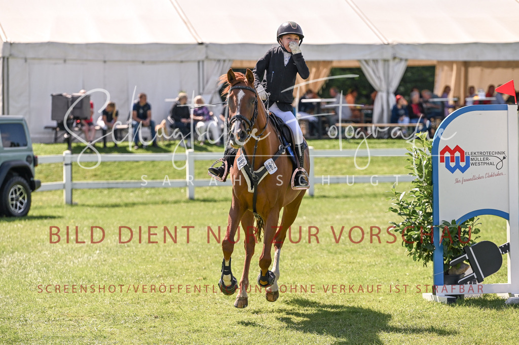 Schugtsche-Düren.2024-05.Springprf.E-13 | Schugtsche Fotografie - Realisiert mit Pictrs.com