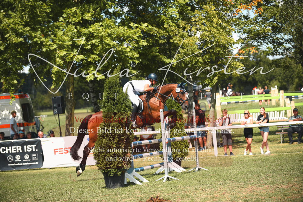 DSC_6533 | Pferde- und Turnierfotografie in Westsachsen. Pferdeportraits, Auftragszeichnungen und intuitive Kunst.
