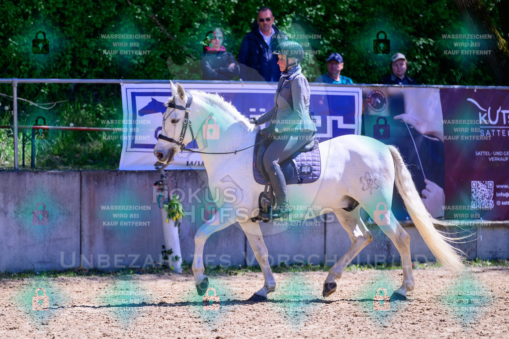 01052026-Giesenbach-02-Stiltrail-0092 | Fokus Hufschlag Fotografie - Realisiert mit Pictrs.com