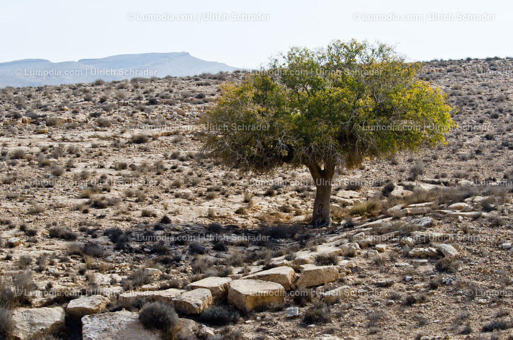 10972-10425 - Negev-Wüste _ Israel | max. Bildgröße A3 | 300dpi - Realisiert mit Pictrs.com