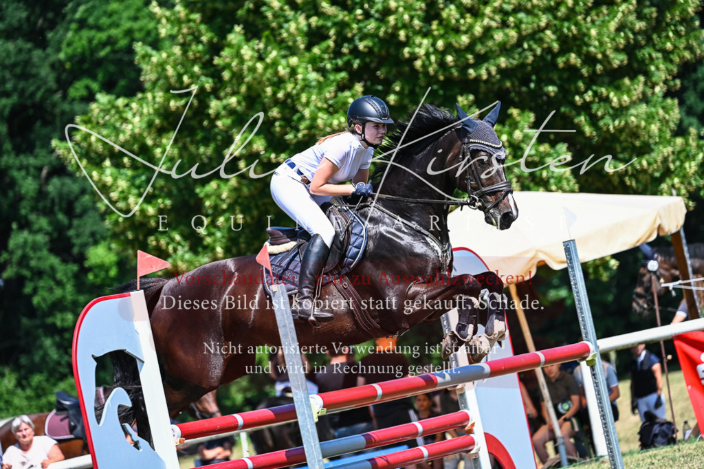DSC_1031 | Pferde- und Turnierfotografie in Westsachsen. Pferdeportraits, Auftragszeichnungen und intuitive Kunst.