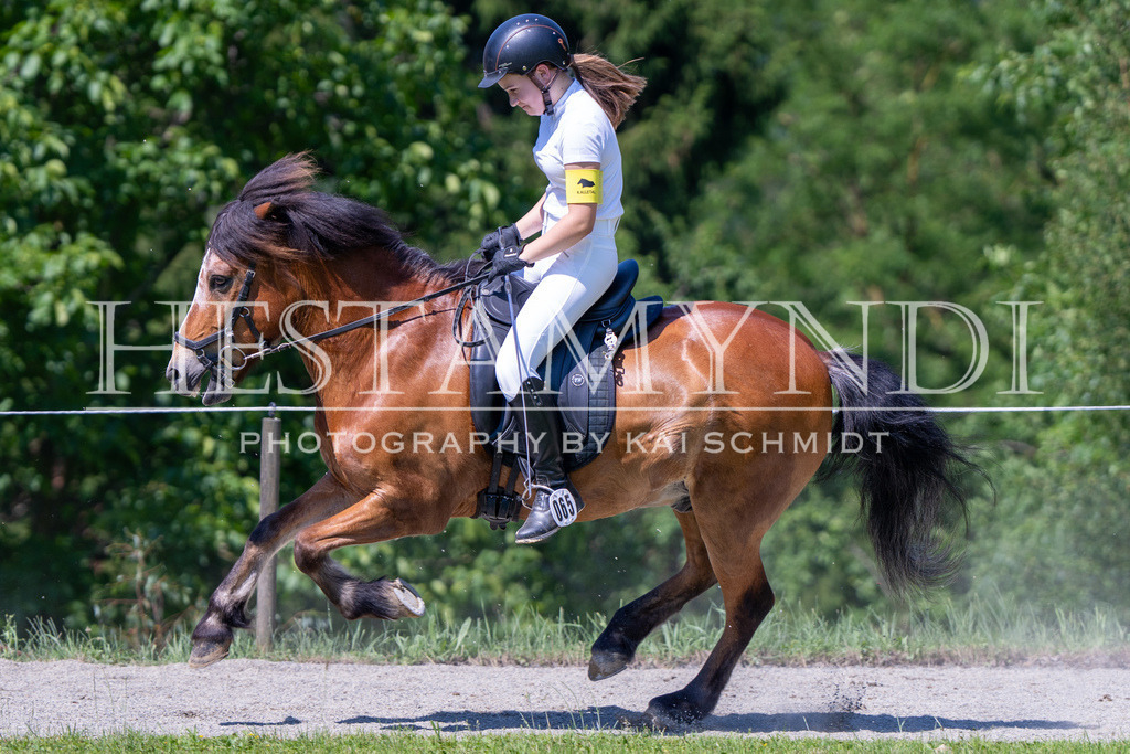 KAI05324 | Ihr sucht einen Fotografen für eure nächste OSI? Ich begleite auch euer Turnier für Islandpferde fotografisch.  - Realisiert mit Pictrs.com