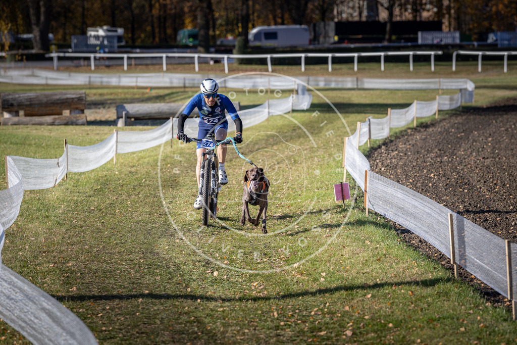 CaniXpix_DV3A5280 | Hundefotografie, Tierfotograf, Pfotenfotografie, Fotoshooting Hund, Hunde Portrait, Hundesport, Hundeportraits, Heideshooting, Hunde, Sportfotograf, Hundefotograf, Turnierhundsport, THS,  - Realisiert mit Pictrs.com