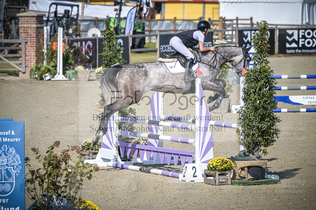 DOS_1557 | Entdecke hochwertige Reitturnierfotos von Foto Oger. Professionell, emotional und authentisch – jetzt Lieblingsmomente im Shop bestellen. - Realisiert mit Pictrs.com