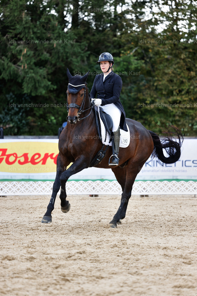 10-193-ST.GEORG SPECIAL -StoibPH-3250 | working equitationturnier fotograf videograf stoibphotography marixx film working equitation deutschland reitsport turnierfotografie eventfotografie equestrian events