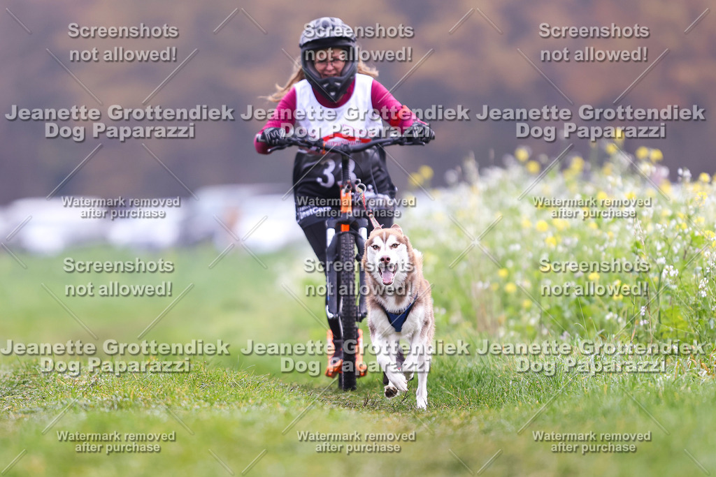 Dog Paparazzi - Visbeck 25 -328 | Dog Paparazzi Jeanette Grottendiek Fotografie & Videografie - Realisiert mit Pictrs.com